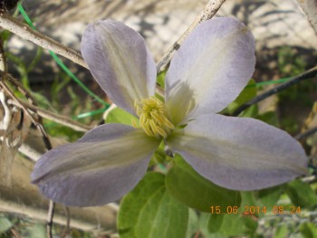 rsz_picture_036.jpg