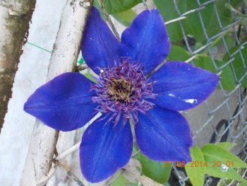 rsz_1picture_036.jpg