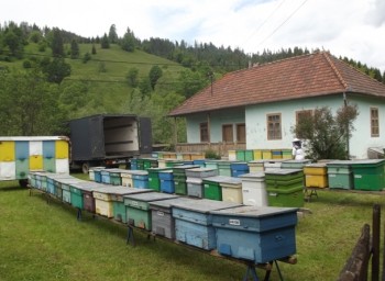 La poliflora 2014.jpg