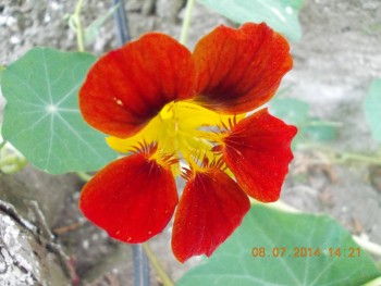 rsz_1picture_004.jpg