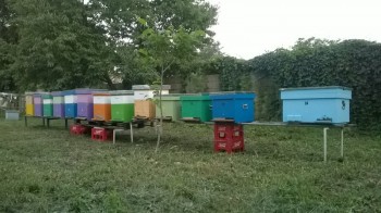 rsz_wp_20140726_005.jpg