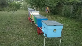 rsz_wp_20140726_002.jpg