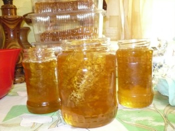 fagure la borcan.JPG