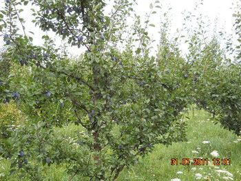 DSCN1310.JPG