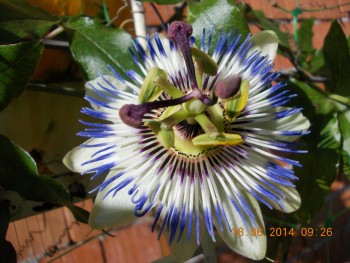 rsz_dscn0253.jpg