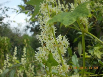 rsz_picture_023.jpg