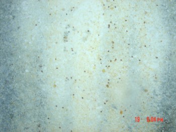 rsz_dsc04315.jpg