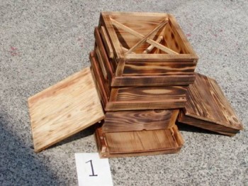 10456247_271112736414043_6803180732312927745_n (1).jpg