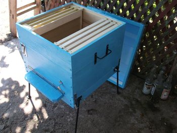 DSCF1371 (Small).JPG