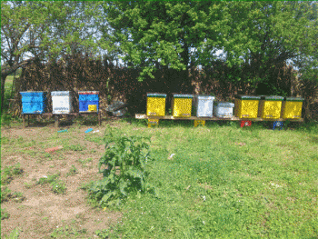 DSC_6264.gif