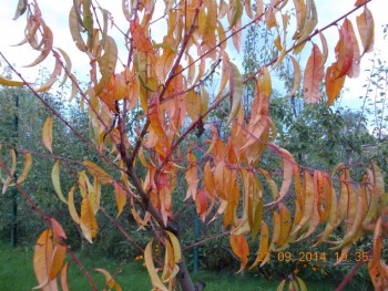 rsz_1picture_007.jpg