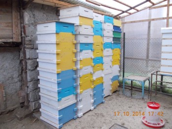 rsz_1picture_005.jpg