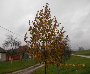 rsz_41picture_004.jpg