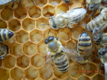 DSCN1365.JPG