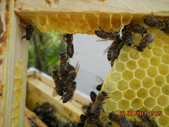 DSCN1332.JPG