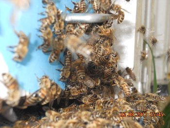 DSCN1363.JPG