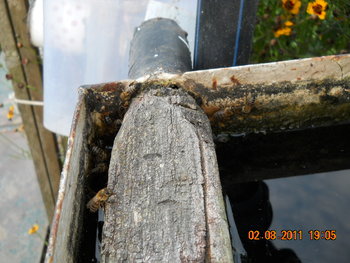 DSCN1367.JPG