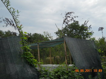 DSCN1376.JPG