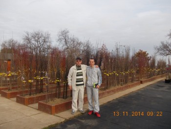rsz_picture_007.jpg