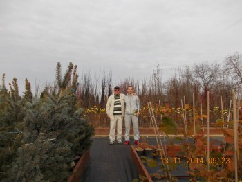 rsz_picture_010.jpg