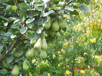 DSCN1390.JPG