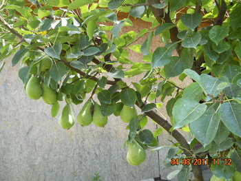 DSCN1391.JPG