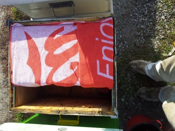 15_opt.jpg