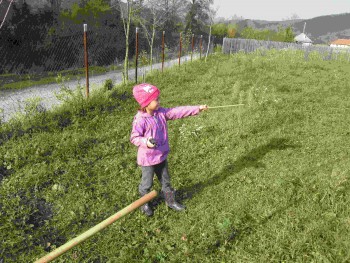 rsz_img_0855.jpg