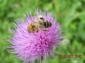 DSCN1377.JPG