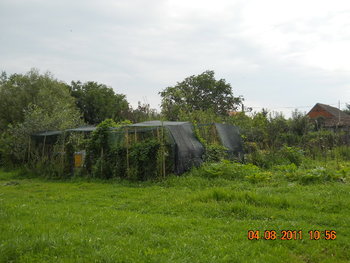 DSCN1389.JPG