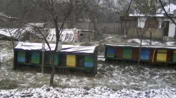 Stupina-1 decembrie 2014.jpg