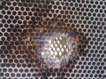 Fotografie0376.jpg
