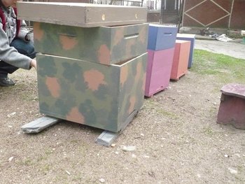 camuflaj.JPG