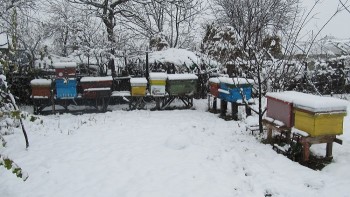 IMG_5912.jpg