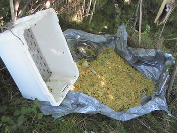 PIC_0111.JPG