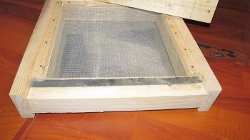 IMG_5921.JPG