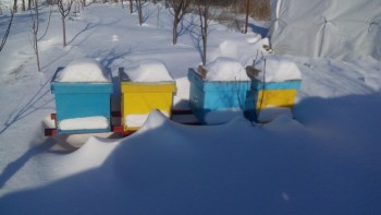 IMG_20141231_1244471.jpg