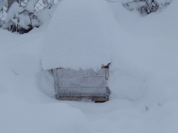 DSCN4415.JPG