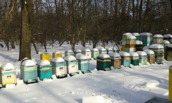 20140209_104423.jpg