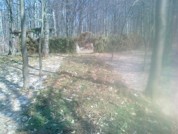 23032012189 (Medium).jpg