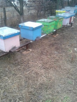 20150124_104231.jpg