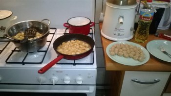 WP_20150122_005 (Medium).jpg