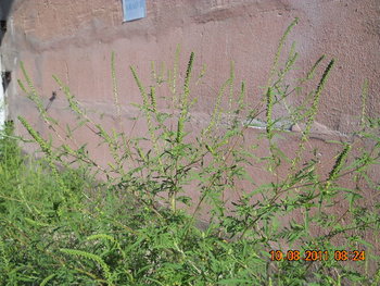 DSCN1452.JPG