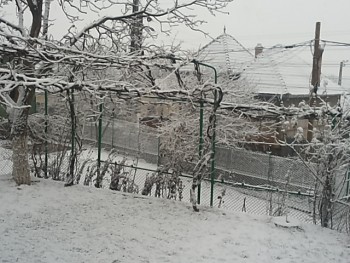 20150201_171052.jpg