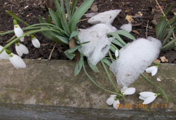 rsz_3picture_011.jpg