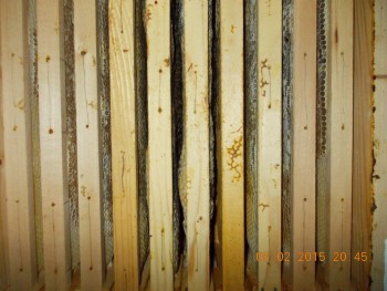 rsz_1picture_026.jpg