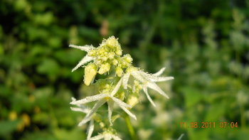 rsz_1dscn1505.jpg