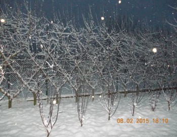 rsz_21picture_030.jpg