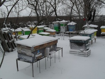 SDC11332.JPG
