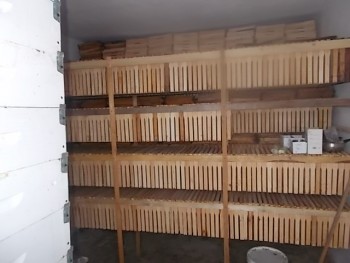 DSCN0347.JPG